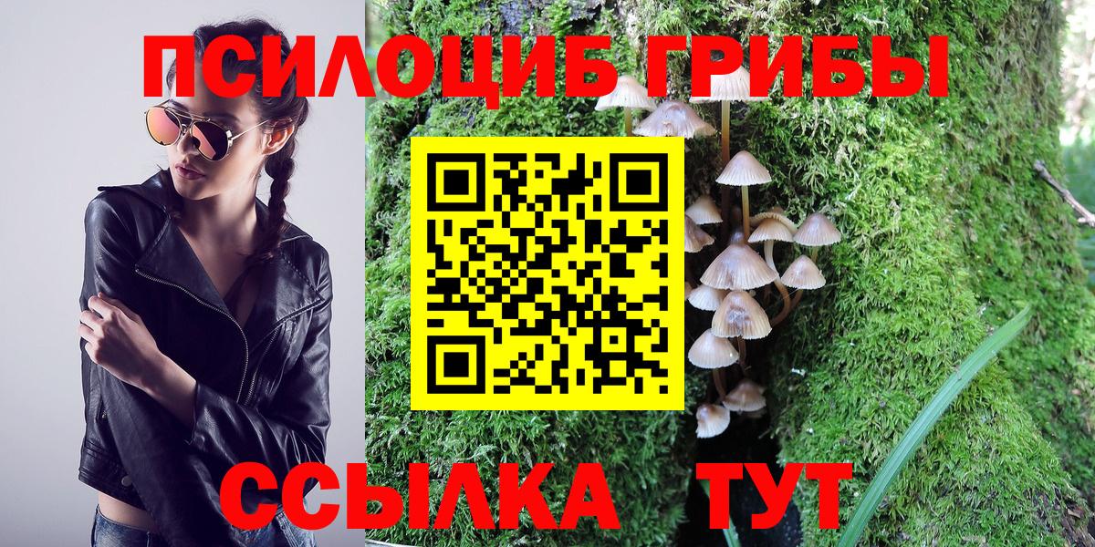 закладки  Галлюциногенные грибы GOLDEN TEACHER  Вход с VPN  Псилоцибиновые грибы GOLDEN TEACHER  Дедовск 