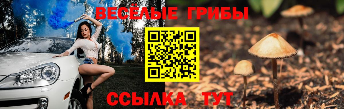 Псилоцибиновые грибы мицелий Дедовск